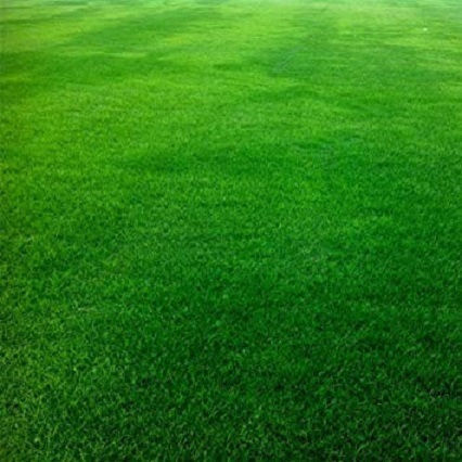 Hortus Sementi Seeds Fescue Arundinacea mix 25kg