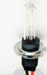 Lamp H7 Xenon Natural White