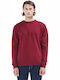 212.BM70.91 Long Sleeve Sweater Burgundy