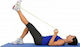 MSD Band MSD Band 2X Schwer Widerstandsbänder B...