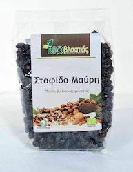 Βιοβλαστός Βιολογική Σταφίδα Μαύρη 200gr Βιοβλαστός Βιολογική Σταφίδα Μαύρη 200gr
