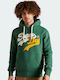 Superdry Men's Sweatshirt with Hood and Pockets Green