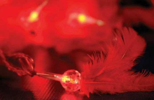 35 Lichter LED 8.5m. Rote in Zeichenfolge 1Stück 35 Lichter LED 8.5m. Rote in Zeichenfolge 1Stück