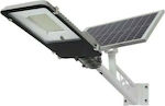 Solar Light Road 100W with Cold White Light IP65