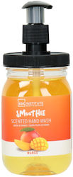 IDC Institute Smoothie Mango Exotische Früchte 360ml