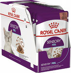 Royal Canin Sensory Feel Gravy/Salsa Wet Food for Adult Cat in Pouch 85gr