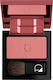 Diego Dalla Palma Fard de obraz Powder Blush 5gr