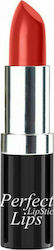 Isabelle Dupont Perfect Lipstick L257 4.2gr