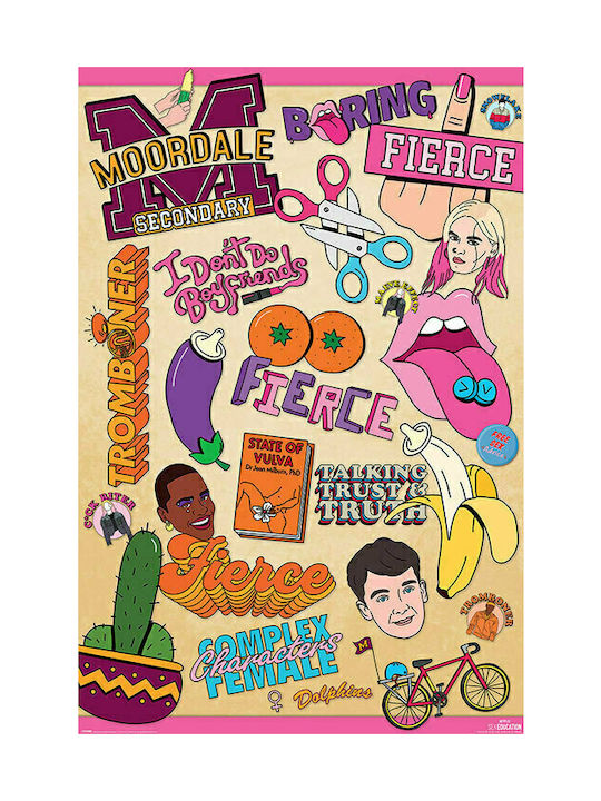 Pyramid International Poster Sex Education Infographic 61x91.5cm