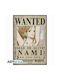 Abysse Poster One Piece Wanted Nami 38x52cm