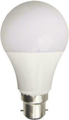 Eurolamp LED Lampen für Fassung B22 und Form A60 Kühles Weiß 2040lm 1Stück