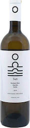 Kontozisis Winery Биологично White Sun Бял Сух Шампоан 750мл Kontozisis Winery Биологично White Sun Бял Сух Шампоан 750мл