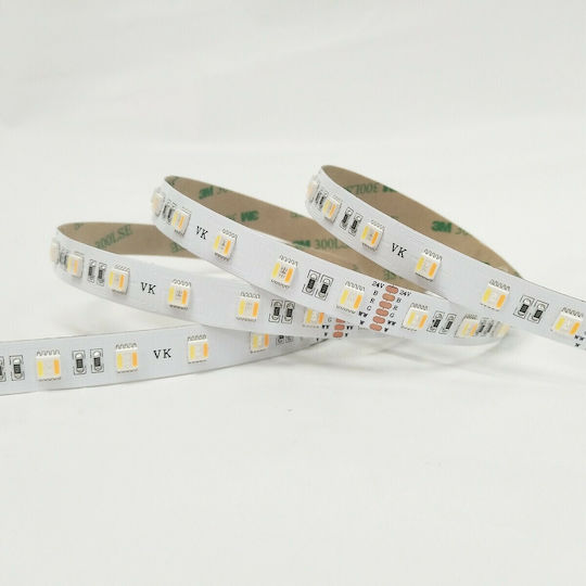 VK Lighting Αδιάβροχη Ταινία LED 24V RGBWW Φως 5m Τύπου SMD2835