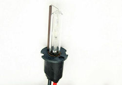 Lamp H3 Xenon Natural White