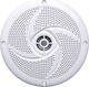 Eval Waterproof Marine Speaker 5.25" with 40W RMS White