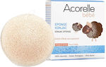 Acorelle Baby Bath Sponge Konjak White 1pcs