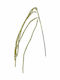 Iliadis Christmas Decorative Branch 50cm