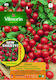 Vilmorin Samen Tomateς Tomate