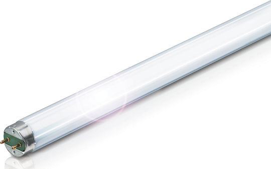 Philips Флуоресцентна Лампа за Цокъл G13 с Форма T8 с Топъл Бял Светлинен Цвят 18W