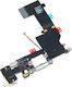 Flex Cable with Microphone for iPhone 5s