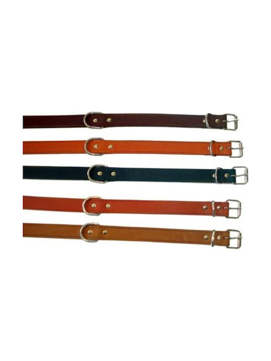 Dog Collar Leather in Red color 25mm x 50cm
