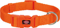 Trixie Premium Κολάρο σε Πορτοκαλί χρώμα Small 15mm x 25 - 40cm Trixie Premium Κολάρο σε Πορτοκαλί χρώμα Small 15mm x 25 - 40cm