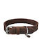 Trixie Rustic Dog Collar Leather in Brown color Medium 25mm x 37 - 44cm