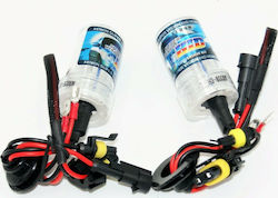 Lamps H3 Xenon Cold White 2pcs
