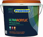 Praktiker Ultra Acrylic Plastic Vopsea pentru Utilizare Externă 10lt