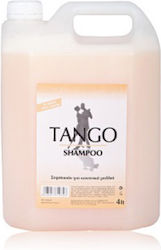 Tango Choco Caramel Shampoos for All Hair Types 4000ml