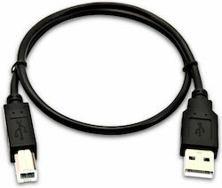 V7 V7USB2AB-50C-1E USB 2.0 USB-A male σε USB-B male 0.5m V7 V7USB2AB-50C-1E USB 2.0 USB-A male σε USB-B male 0.5m