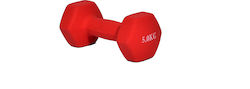 MotivationPro Hexagon Dumbbell 1 x 5kg