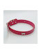 AGC Dog Collar in Red color 25mm x 52cm