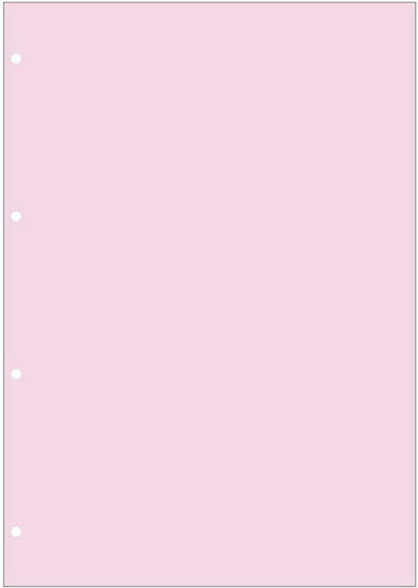 Contax A4 Replacement Pages Pink