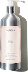 We Are Paradoxx Repair We Are Paradoxx Repair