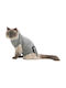 Trixie Cat Harness Small/ Medium Gray 32 - 36cm