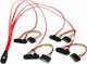 StarTech SCSI - SCSI Cable 50cm Κόκκινο (SAS808782P50)
