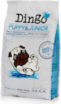 Dingonatura Dingo Puppy & Junior 12kg Ξηρά Τροφή για Κουτάβια με Καλαμπόκι, Κοτόπουλο και Ρύζι