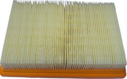 Champion Air Filter CAF5101