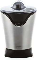 Gruppe Fresh Me Up Ηλεκτρικός Στίφτης 100W Inox