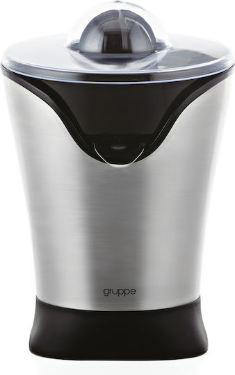 Gruppe Fresh Me Up Electric Juicer 100W Inox Gray