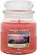 Yankee Candle Lumânare Aromată Borcan cu Aromă Răsărit de soare pe faleză Roz 411gr 1buc