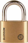 Blossom Steel Padlock Brass with Key 50mm 1pcs