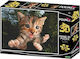 Fuzzbucket Puzzle 3D 500 Teile