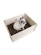Bunny Nature Bunny Digging Box Παιχνίδι 50x39x19.5cm