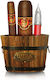 Cuba Jungle Tiger Set pentru femei
