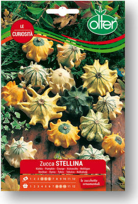 Γενική Φυτοτεχνική Αθηνών Stellina Seeds Pumpkinς Zucchini 30pcs