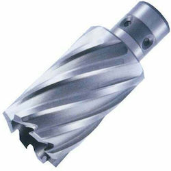 Bulle Räumnadelschneider HSS mit Durchmesser 18...