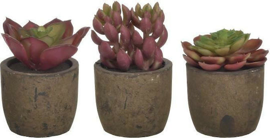 Plantă Artificială în Ghiveci Mic Ghiveci 11cm (Diverse modele) Inart