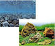Amtra Wave Double Vision Aquarium Decoration Poster